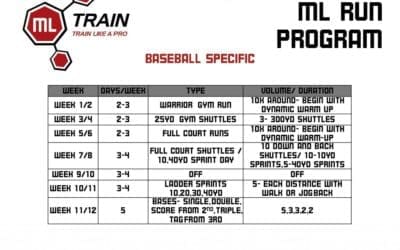 Dana Cavalea NY Yankees Baseball Running Program