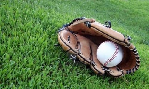 baseball-glove